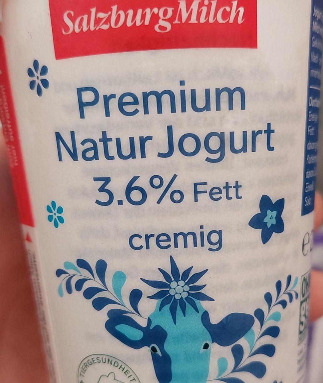 Fotografie - Premium Natur Jogurt 3,6% cremig SalzburgMilch