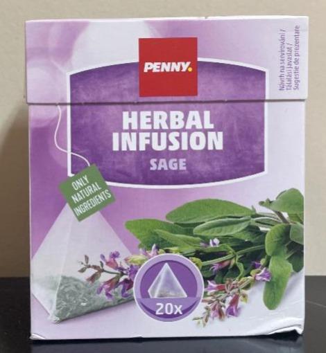 Fotografie - Herbal Infusion Sage Penny