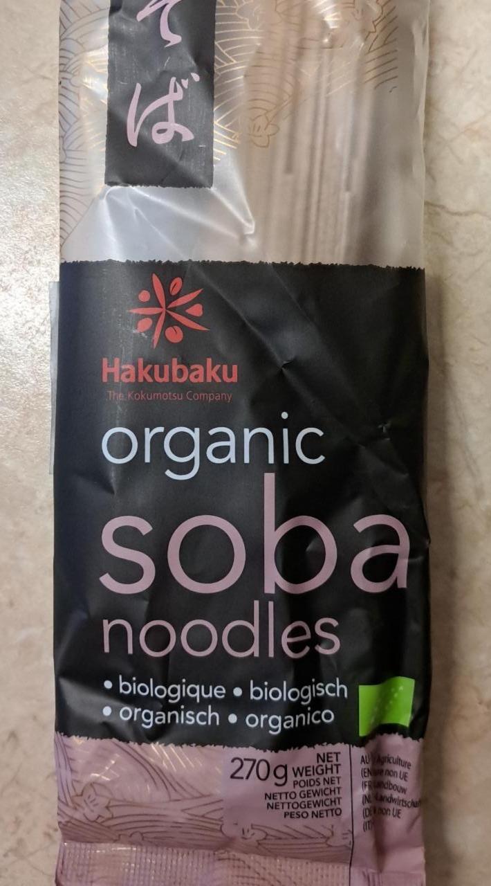 Fotografie - Organic Soba Noodles Hakubaku