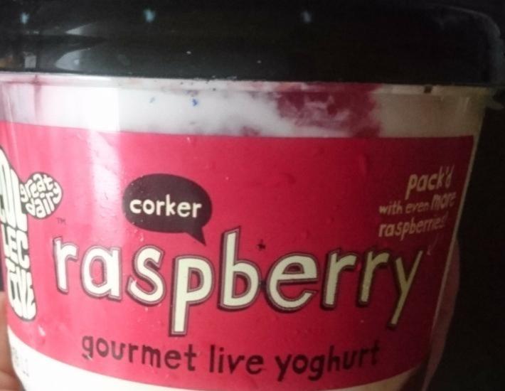 Fotografie - Great Dairy Raspberry gourmet live yoghurt The Collective