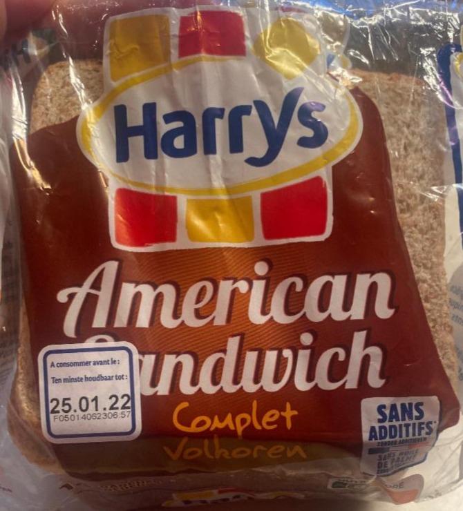 Fotografie - American Sandwich Complet Harry´s