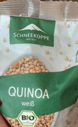 Fotografie - Quinoa weiss Schneekoppe