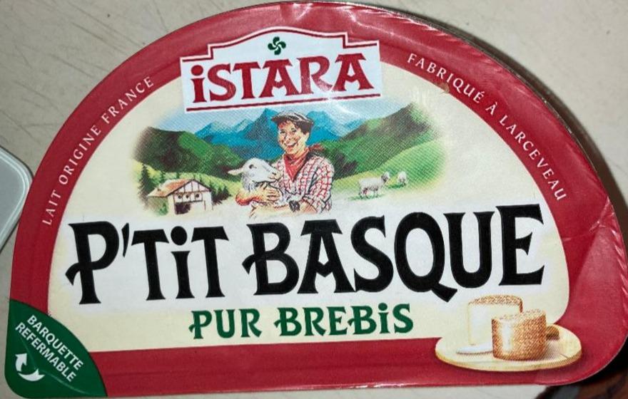 Fotografie - P'Tit Basque Pur Brebis Istara