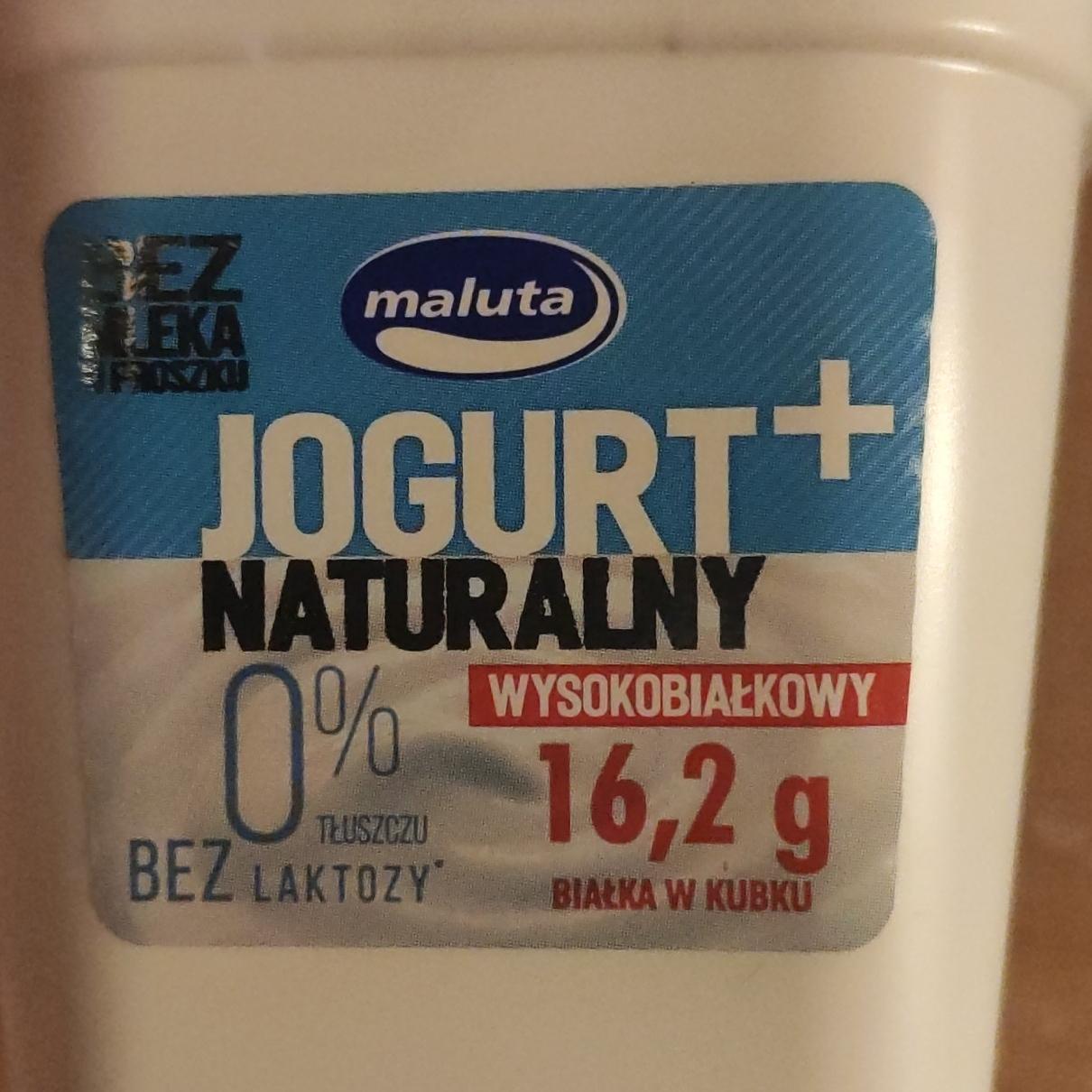 Fotografie - Jogurt naturalny wysokobialkowy bez laktory Maluta
