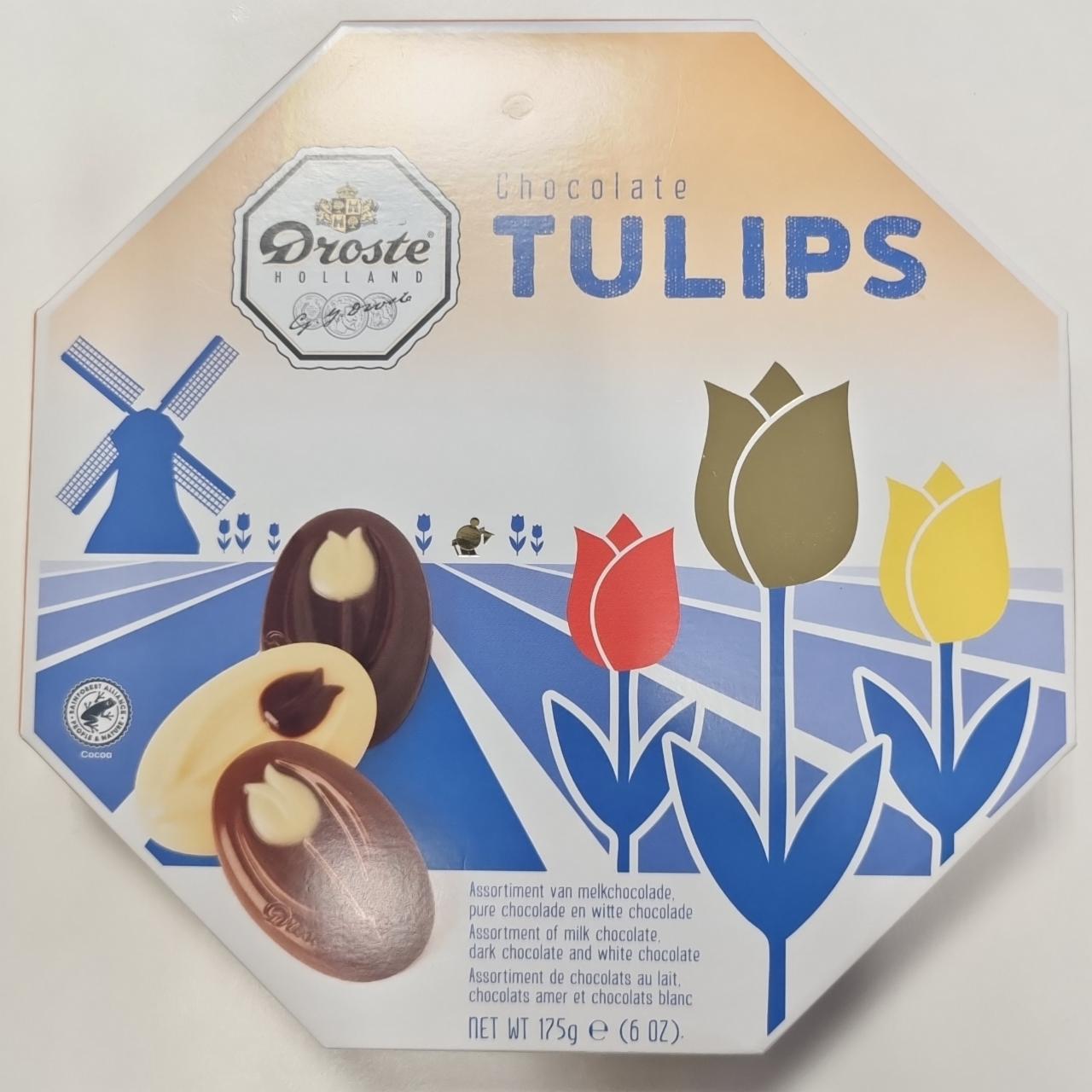 Fotografie - Chocolate Tulips Droste
