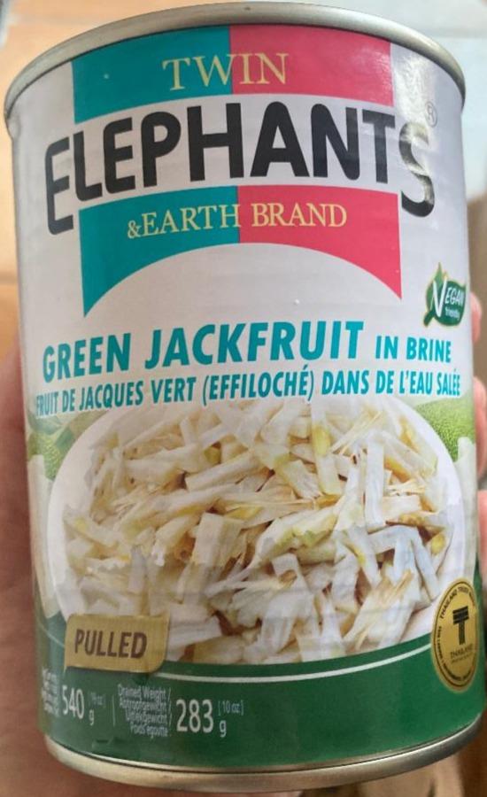 Fotografie - Green jackfruit in Brine Pulled Twin Elephants