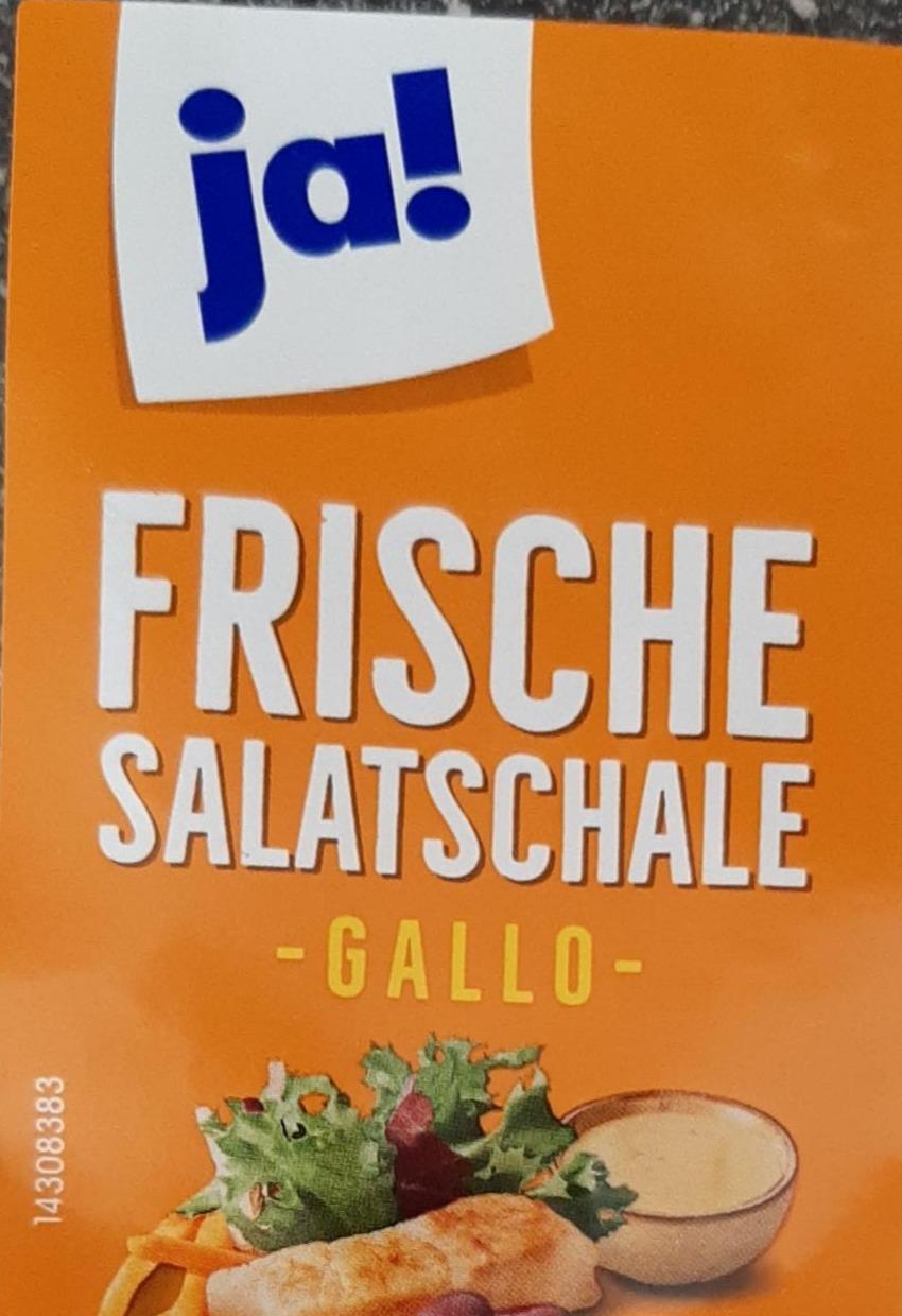 Fotografie - Frische salatschale gallo Ja!