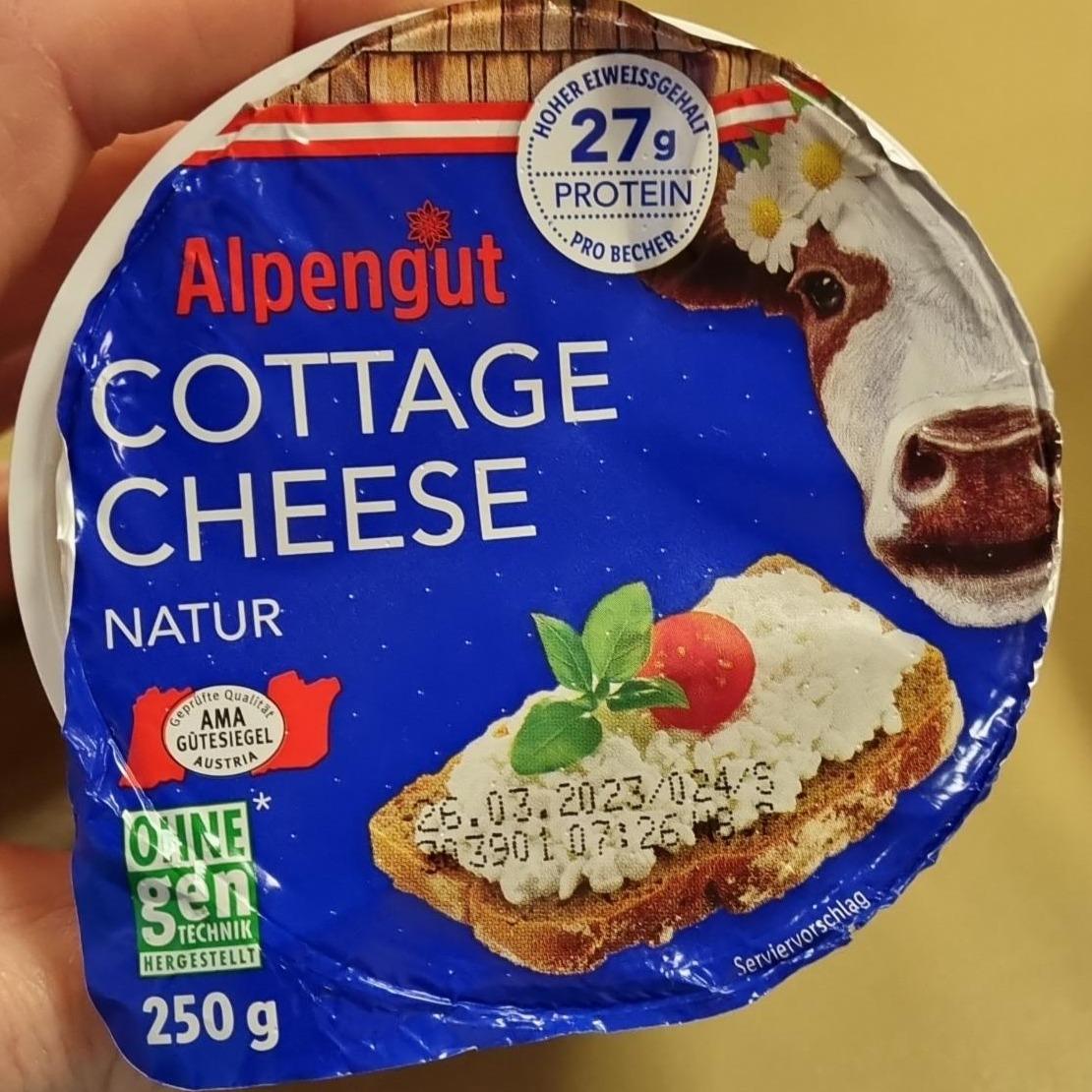 Fotografie - Cottage cheese Natur Alpengut