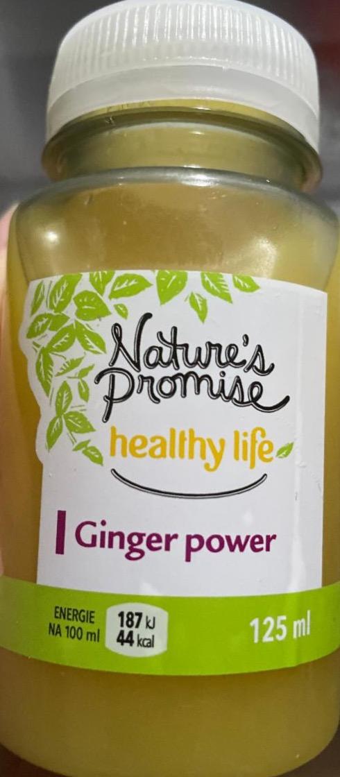 Fotografie - Ginger Power Nature’s Promise