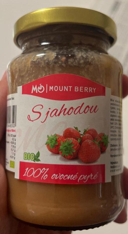 Fotografie - Bio 100% ovocné pyré s jahodou MountBerry