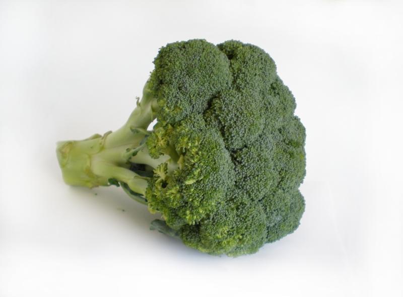 Fotografie - brokolice