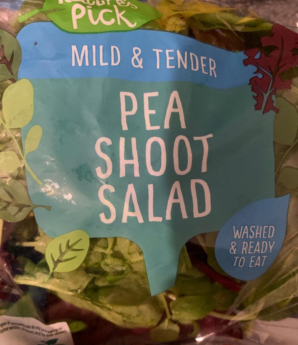 Fotografie - Pea Shoot Salad Nature's Pick