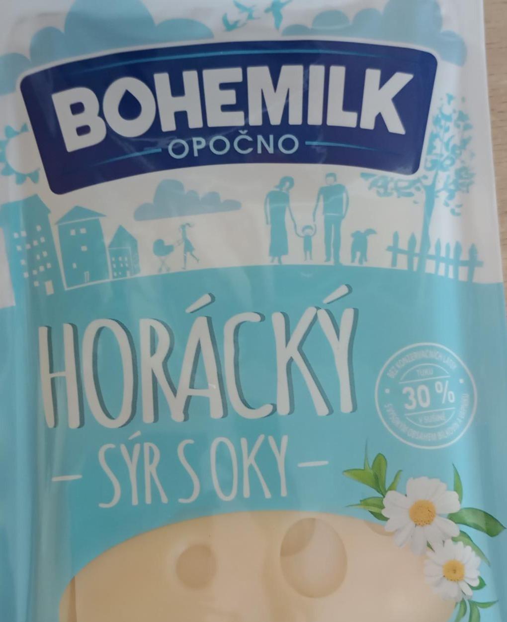 Fotografie - Horácký sýr s oky 30% Bohemilk