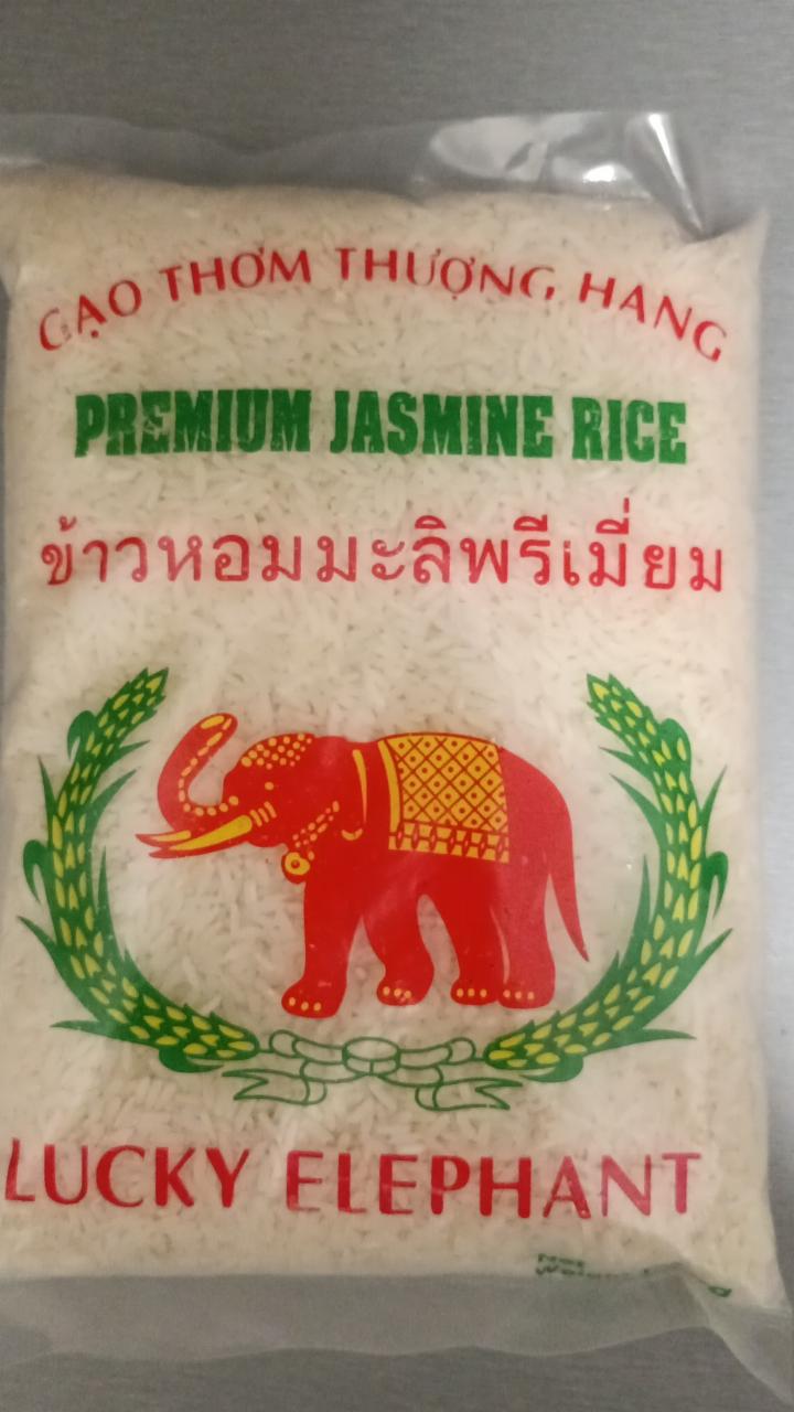Fotografie - Premium jasmine roce Lucky elephant