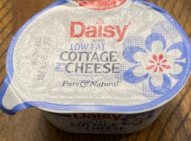 Fotografie - Cottage Cheese low fat Daisy