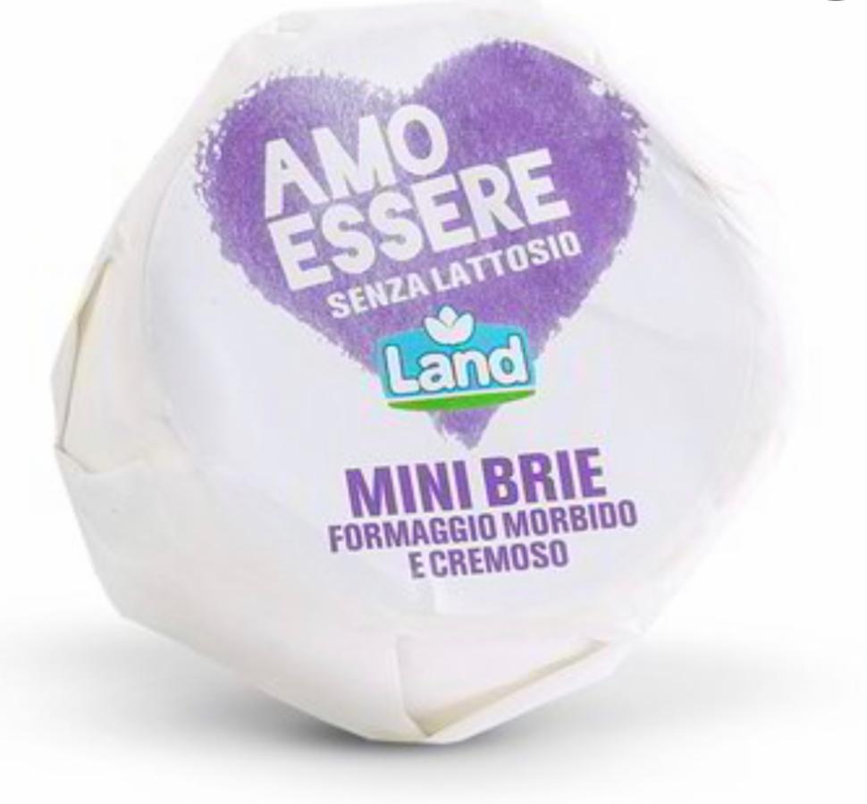 Fotografie - Mini Brie Formaggio morbido e cremoso Amo Essere senza lattosio Land