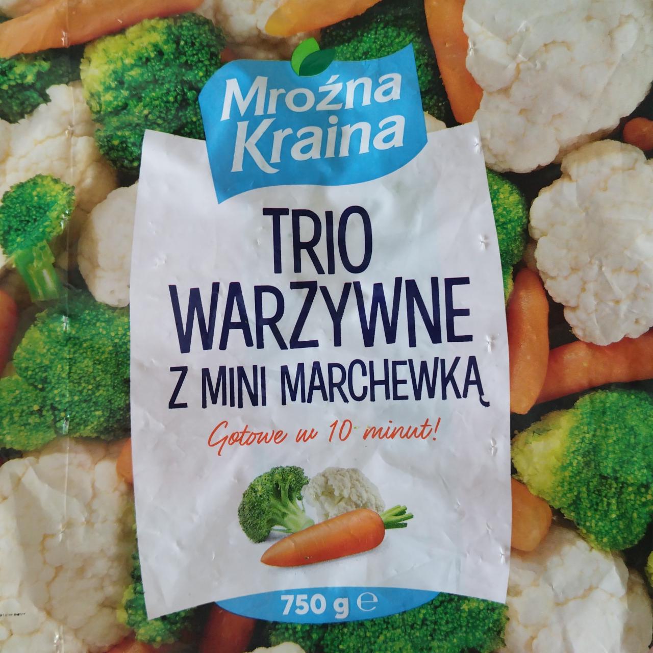 Fotografie - Trio warzywne z mini marchewka Mroźna Kraina