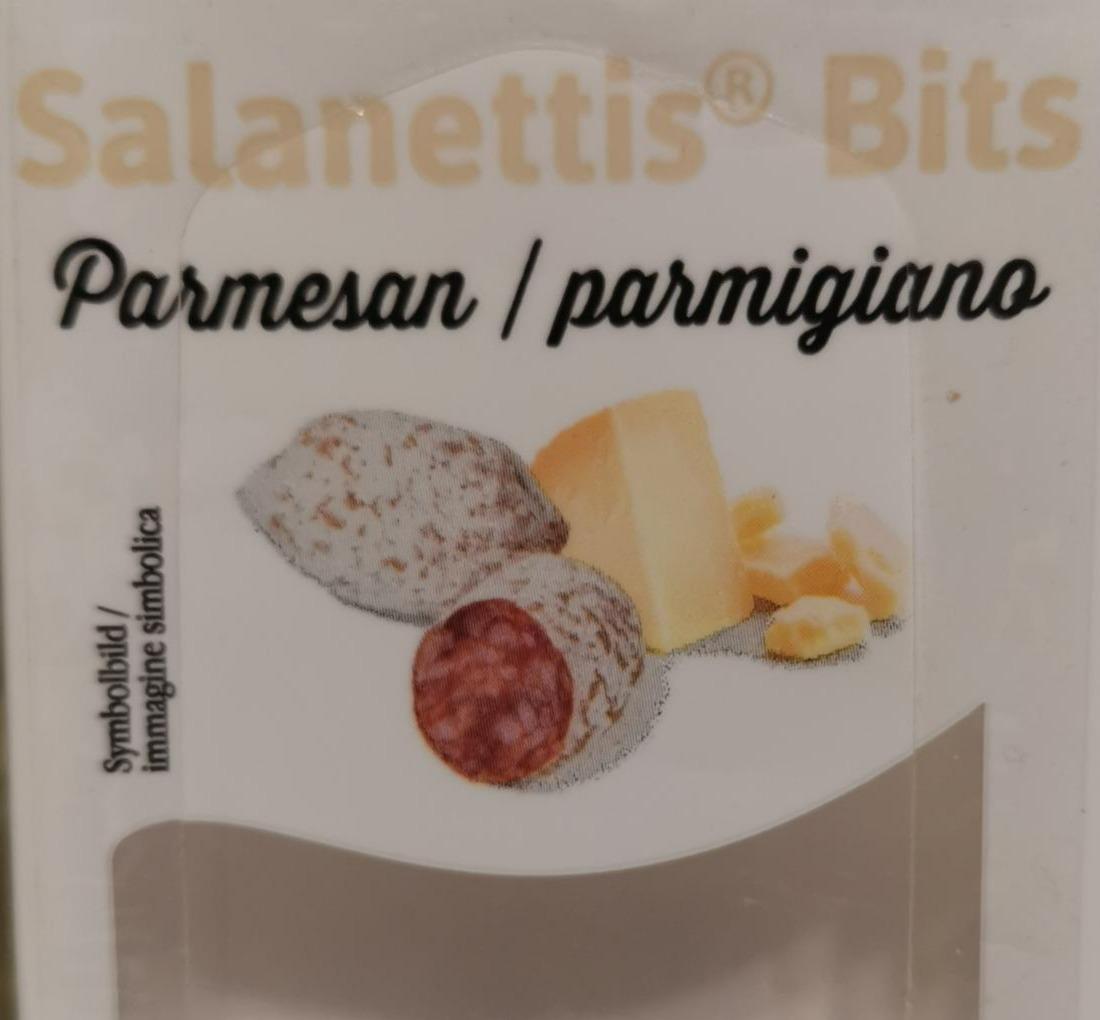 Fotografie - Parmesan Salanettis Bits Sorger