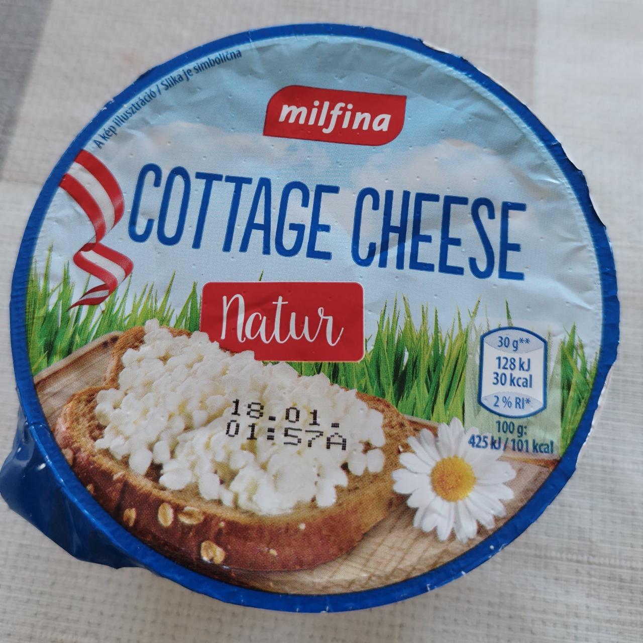 Fotografie - Cottage cheese Natur Milfina