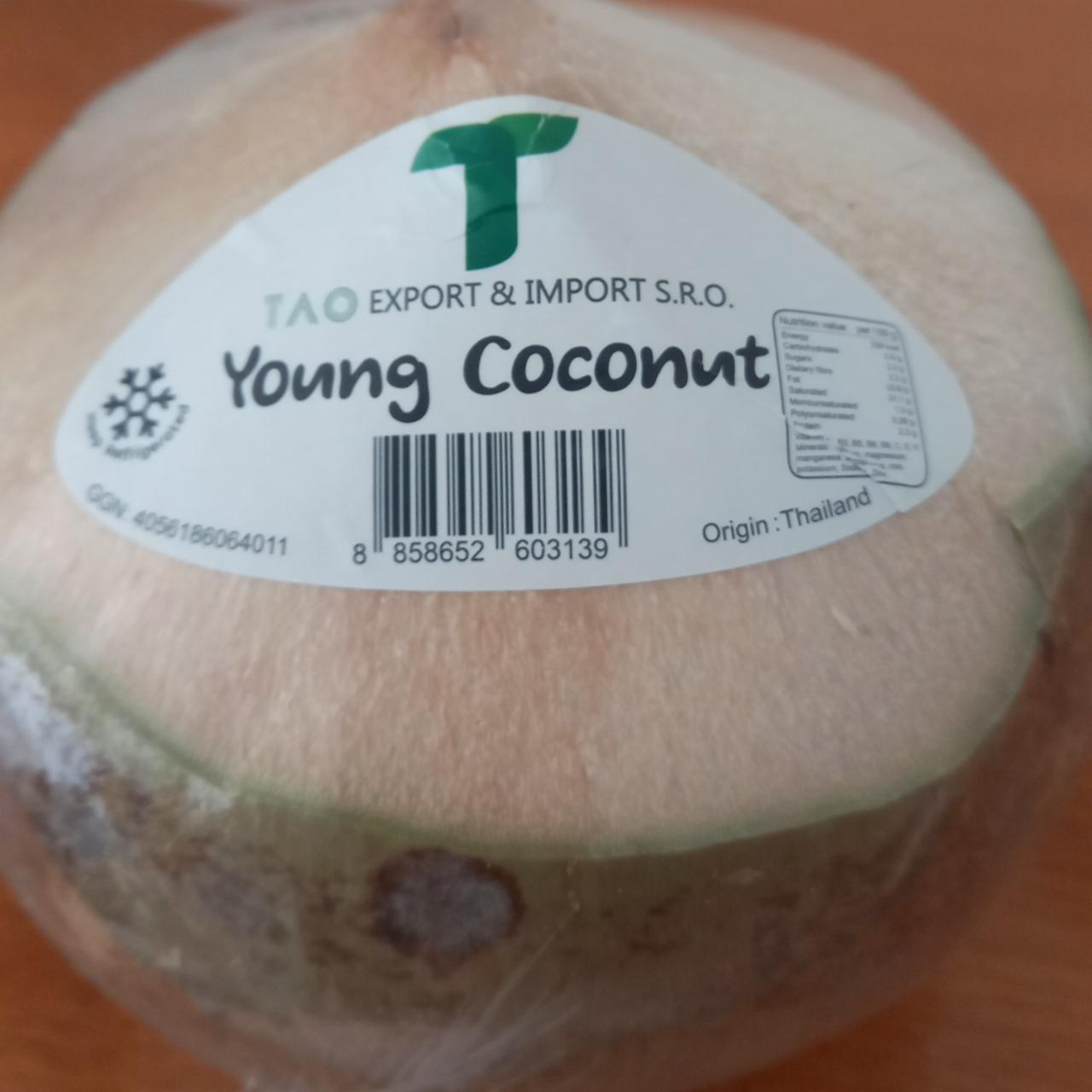 Fotografie - Young coconut TAO Export & Import