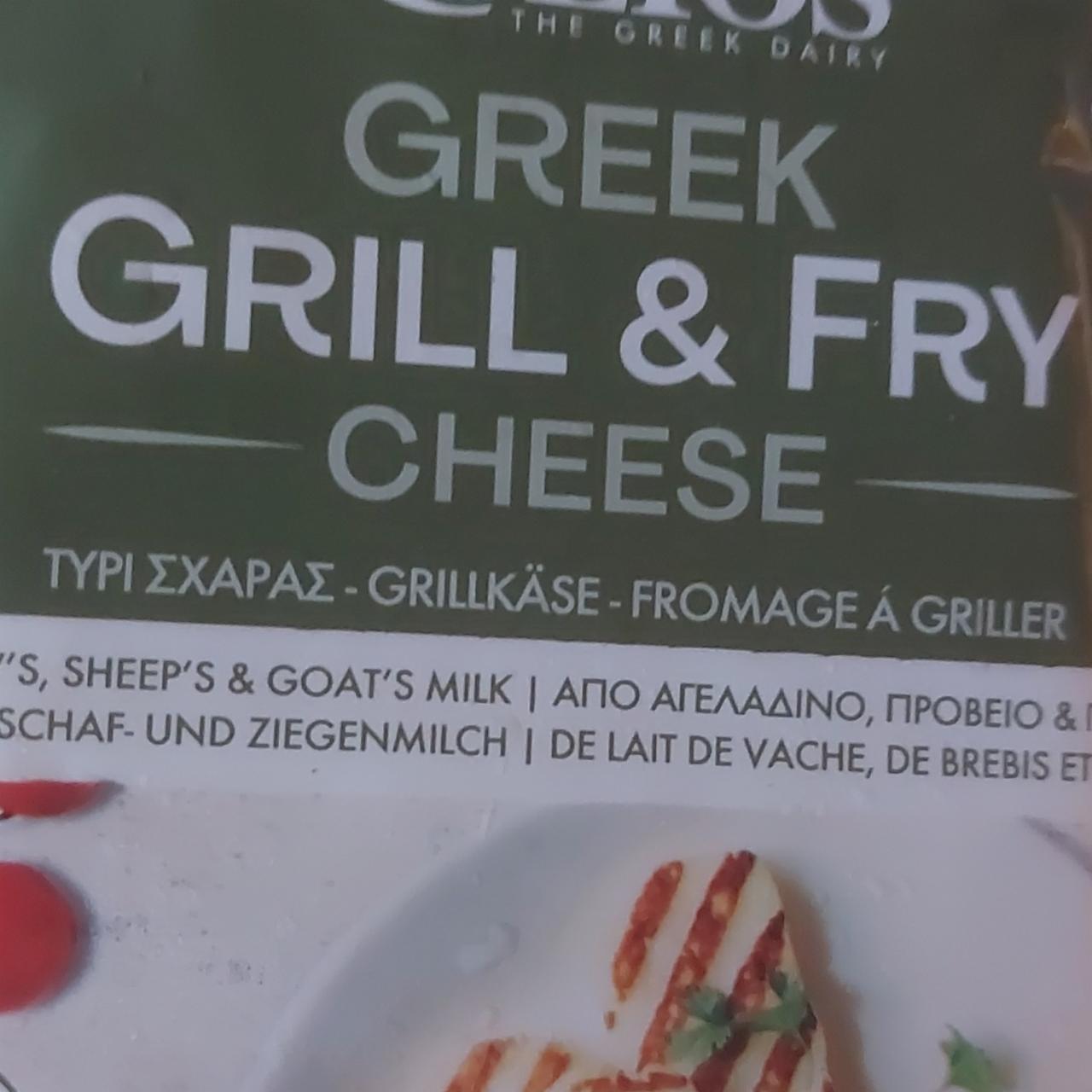 Fotografie - řecký sýr grilovací