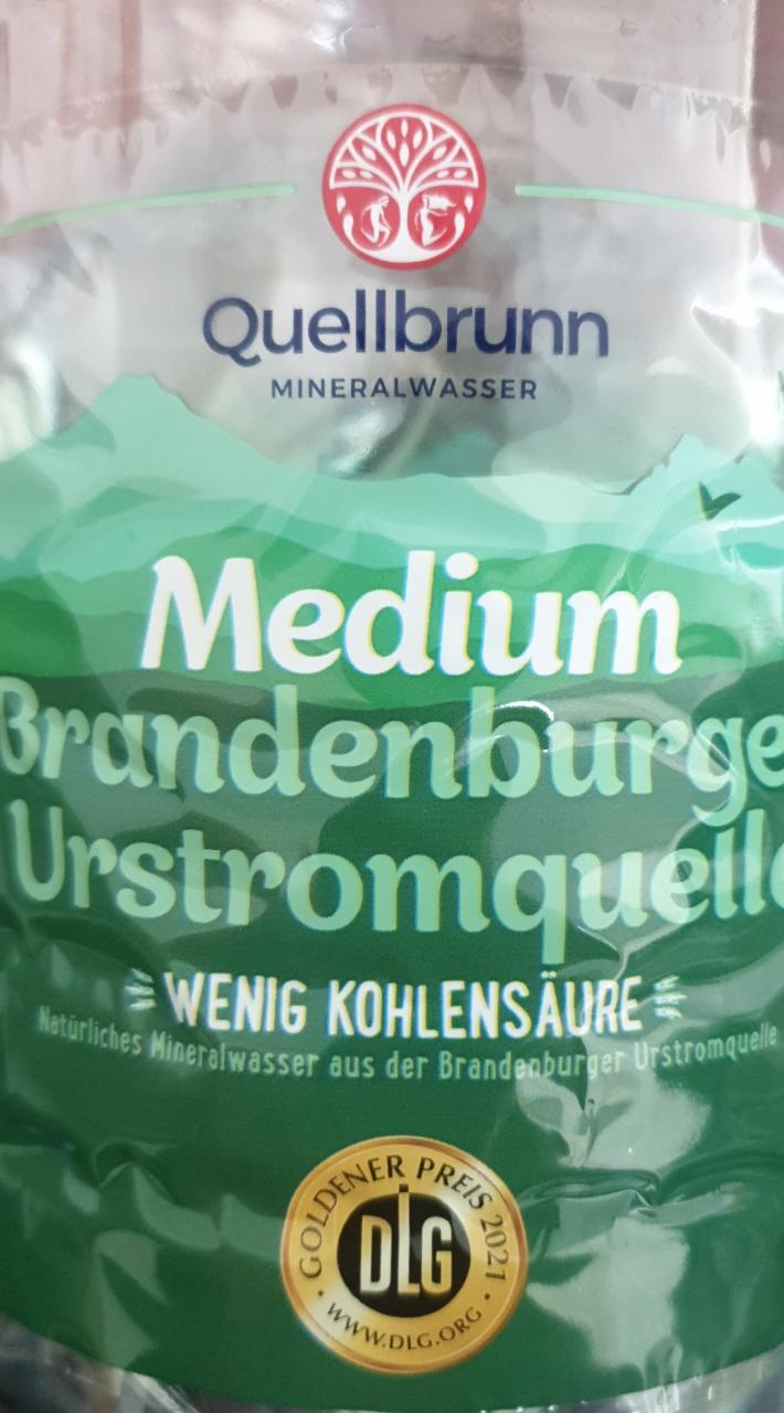 Fotografie - Medium Brandenburger Urstromquelle Quellbrunn
