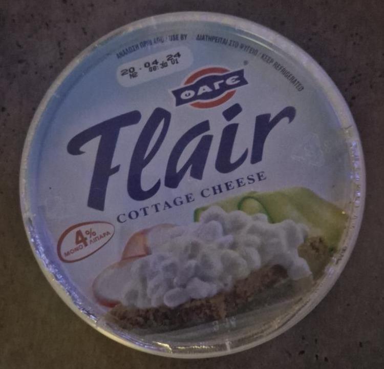 Fotografie - Flair cottage cheese Fage
