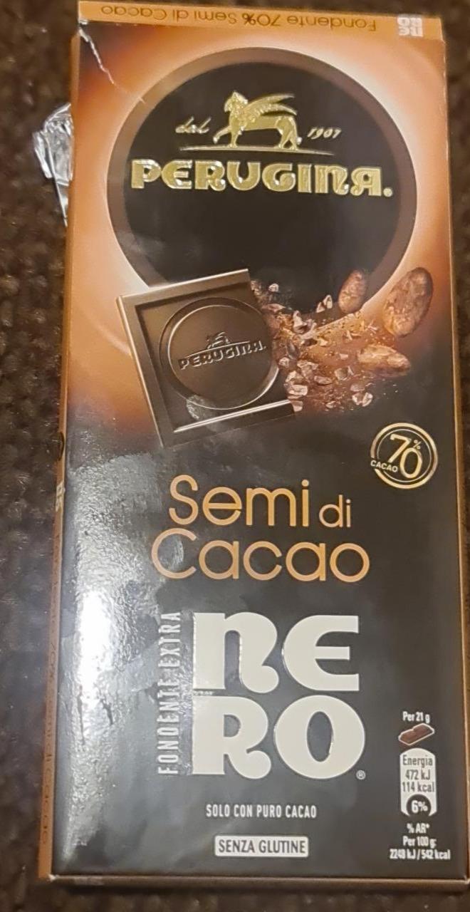 Fotografie - Semi di cacao Nero Perugina.