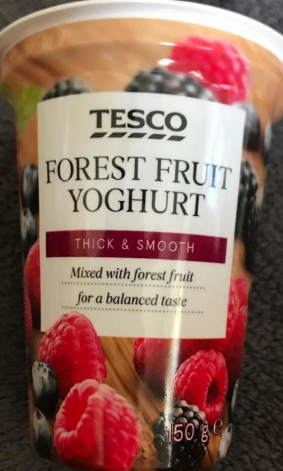 Fotografie - Jogurt s lesním ovocem Tesco