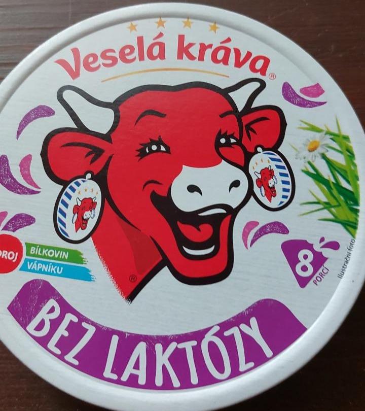 Fotografie - Veselá kráva bez laktózy