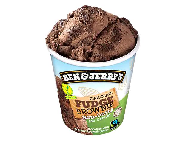 Fotografie - Non-dairy Chocolate Fudge Brownie Ben & Jerry’s