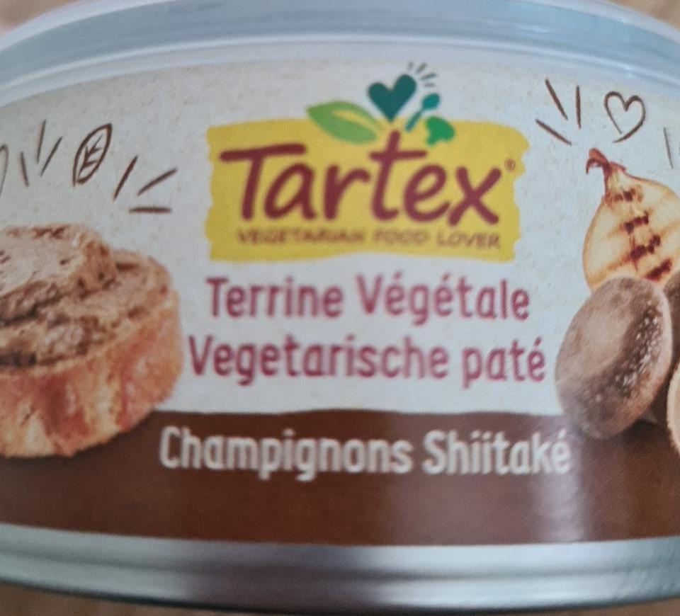 Fotografie - terrine vegetale Tartex