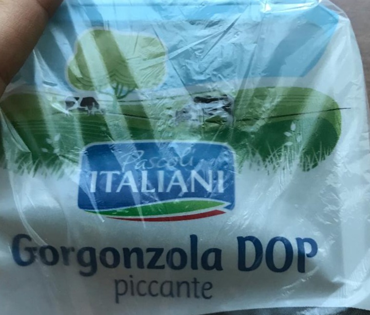 Fotografie - Gorgonzola DOP piccante Pascoli Italiani