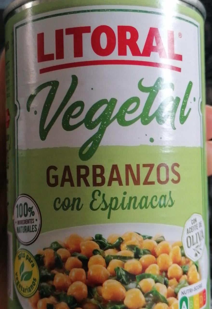 Fotografie - Vegetal Garbanzos con Espinacas Litoral
