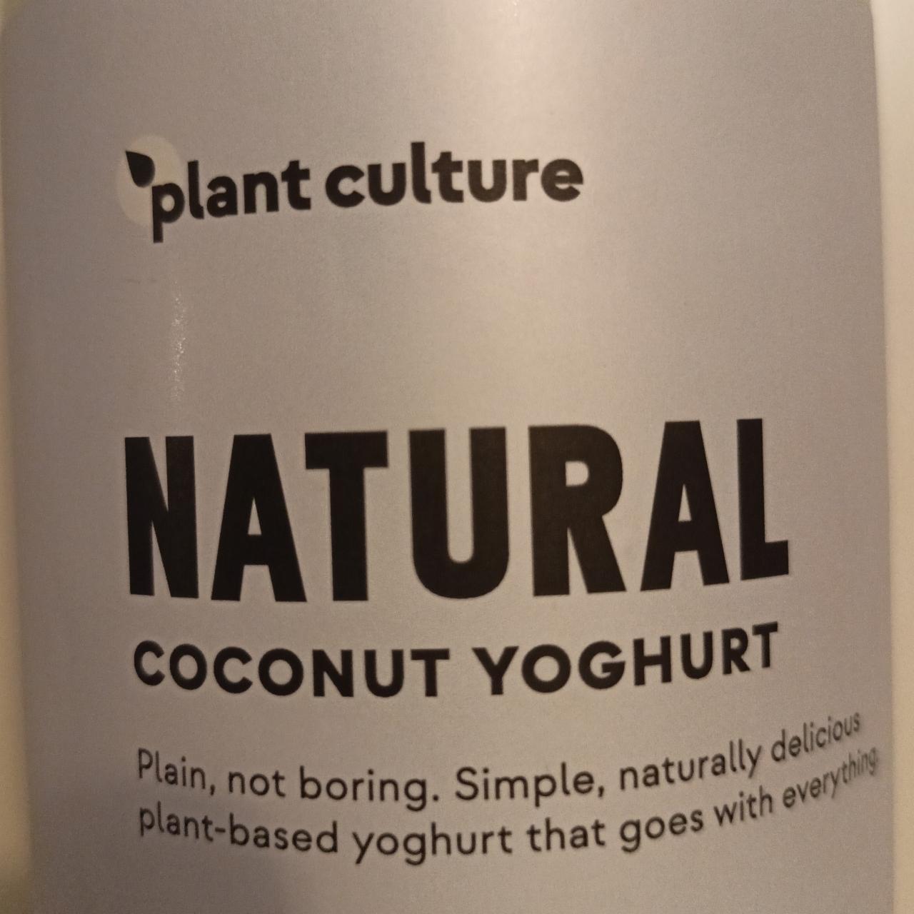 Fotografie - Natural Coconut Yoghurt Plant Culture