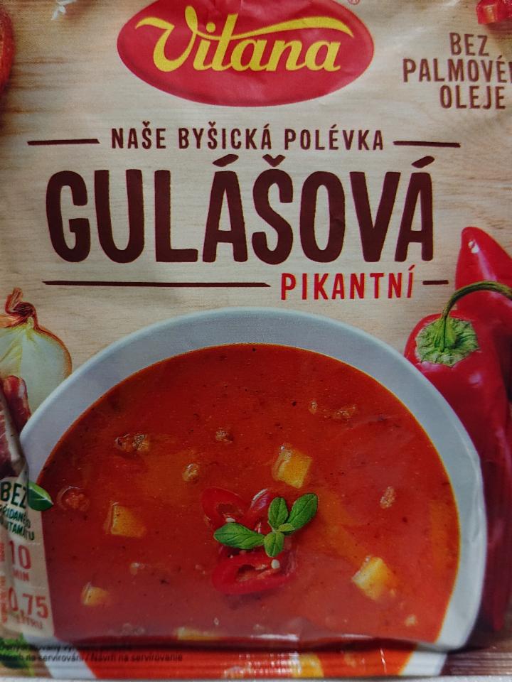 Fotografie - Gulášová pikantní polévka Vitana