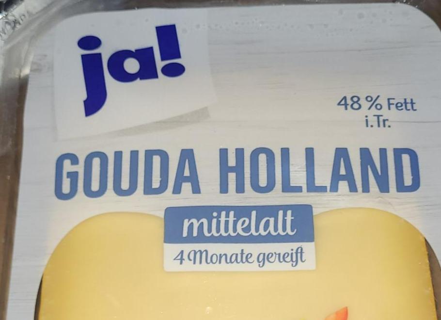 Fotografie - Gouda Holland mittelalt 48% Ja!