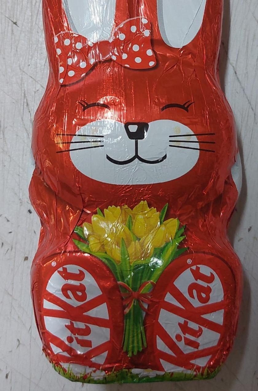 Fotografie - Velikonoční zajíc KitKat