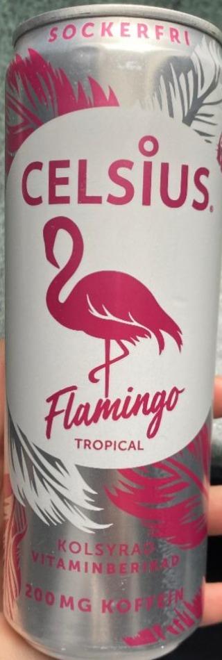 Fotografie - Celsius Energy drink Tropical flamingo