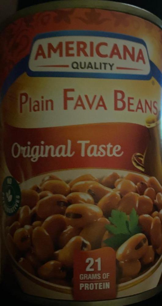 Fotografie - Americana plain fava beans