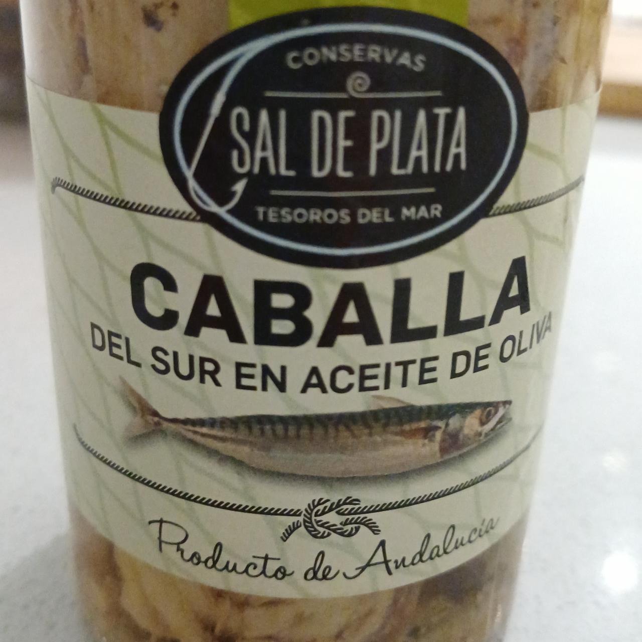 Fotografie - Caballa del sur en aceite de oliva Sal de Plata