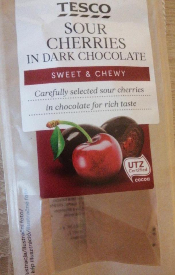 Fotografie - Sours cherries in dark chocolate