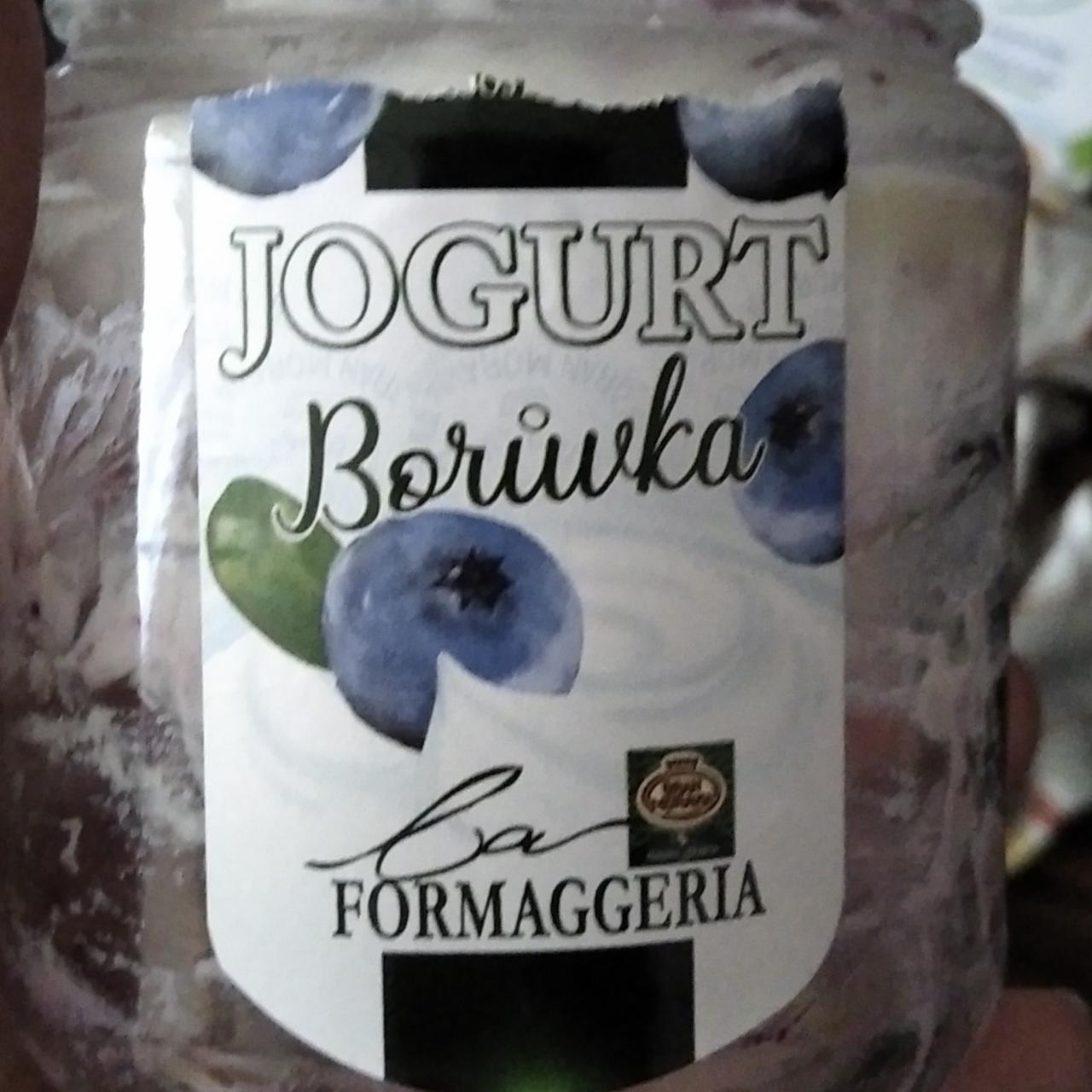 Fotografie - Jogurt borůvka La Formaggeria