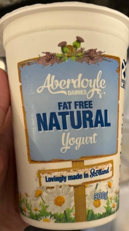 Fotografie - Fat Free Natural Yoghurt Aberdoyle Dairies