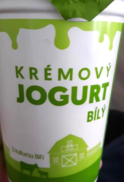 Fotografie - Krémový jogurt bílý s kulturou BiFi Hollandia