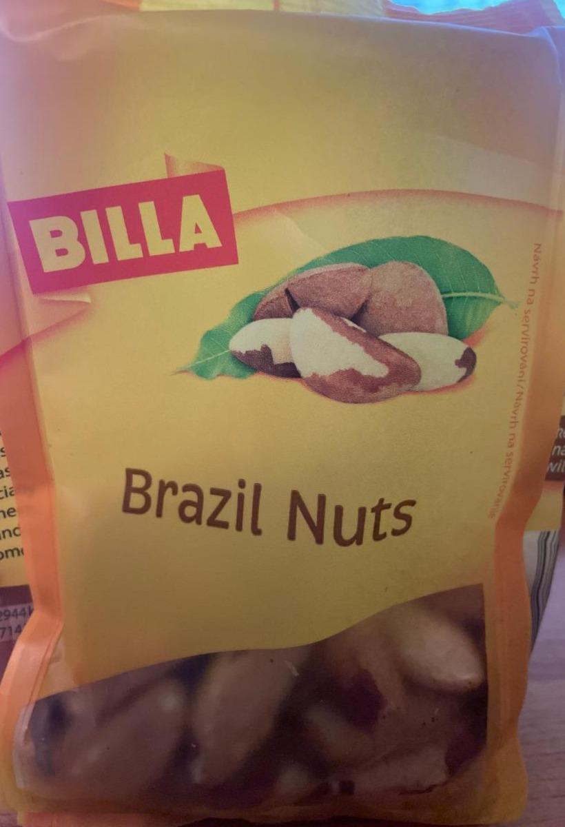 Fotografie - Brazil nuts Billa