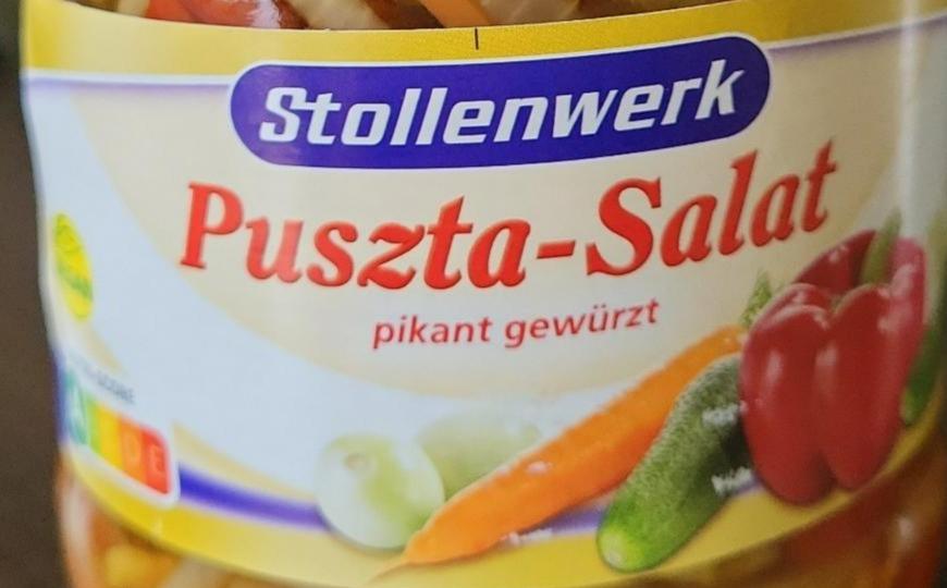 Fotografie - Puszta - Salat pikant gewürzt Stollenwerk