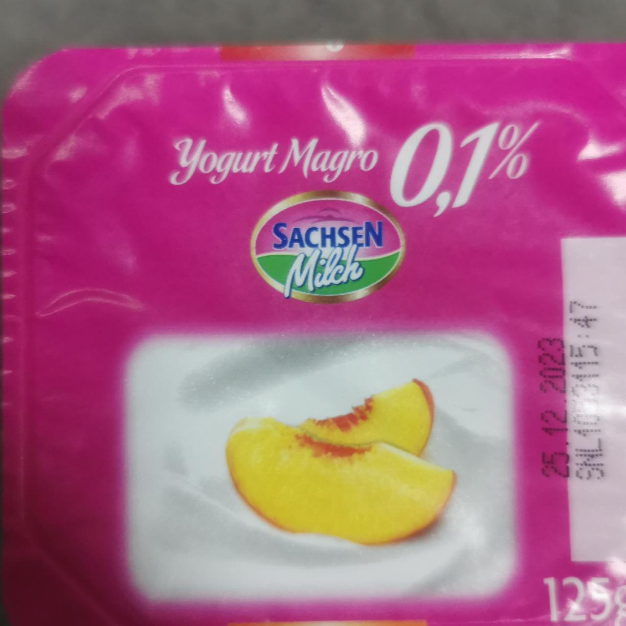 Fotografie - Yogurt Magro 0,1% Sachsen Milch