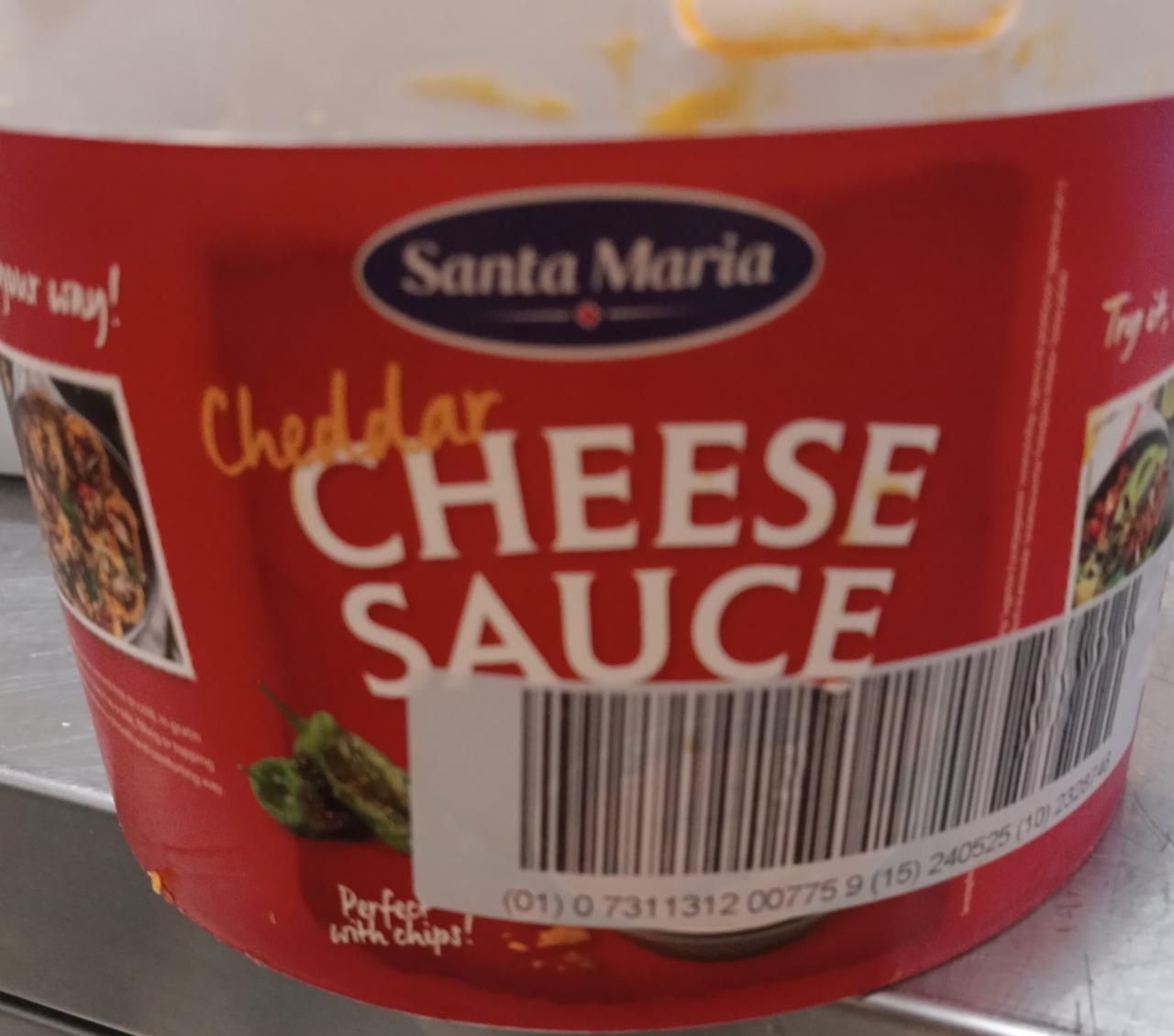 Fotografie - Cheddar Cheese Sauce Santa Maria