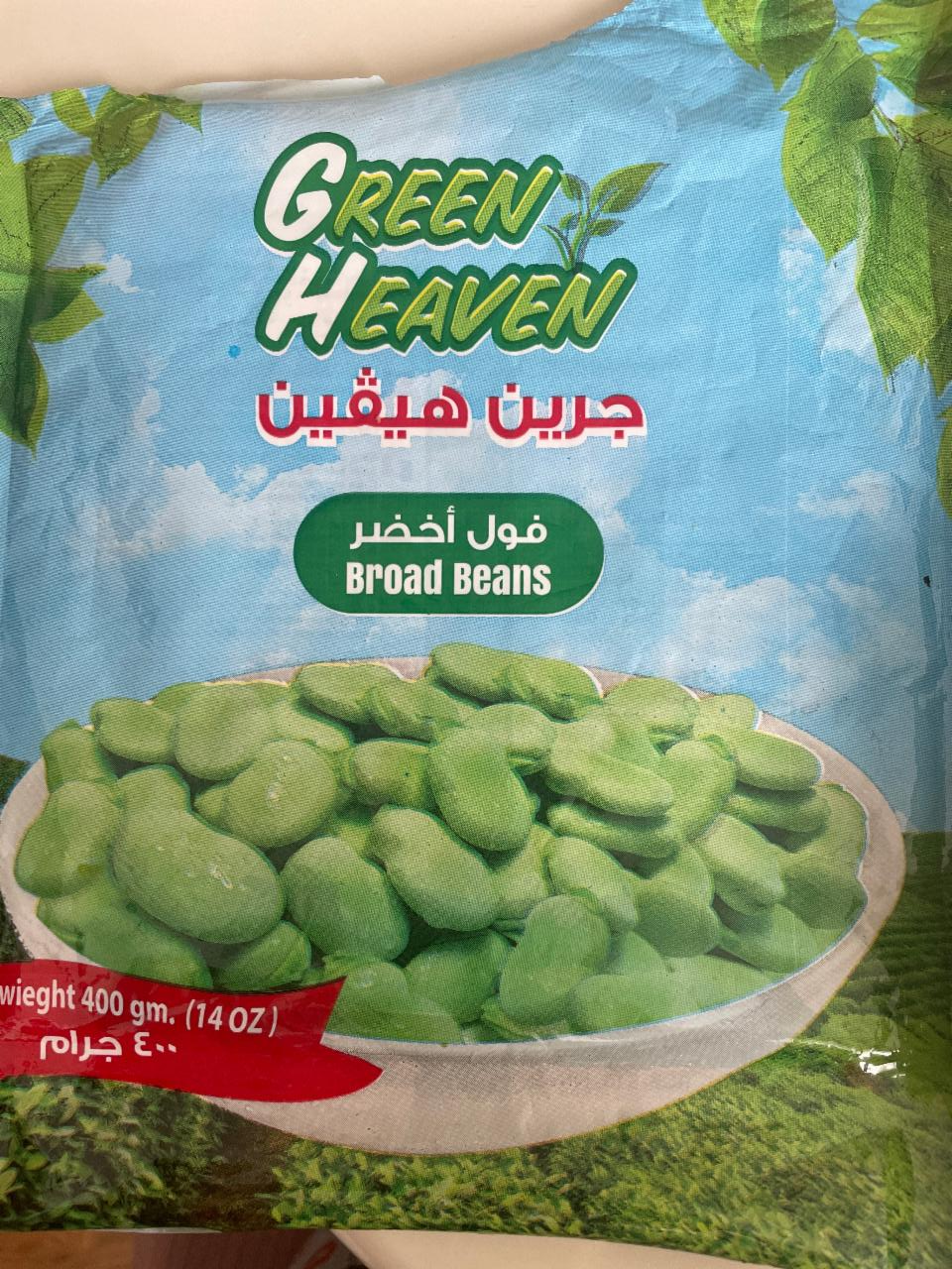 Fotografie - Zelené boby (broad beans)
